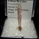 Minerals Specimen: Yellow Bi-Color Tourmaline from Baixao Mine, Itinga, Minas Gerais, Brazil Minerals Specimen: Yellow Bi-Color Tourmaline from Baixao Mine, Itinga, Minas Gerais, Brazil