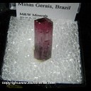 Minerals Specimen: Tourmaline from Pederneira Mine, Sao Jose da Safira, Minas Gerais, Brazil Minerals Specimen: Tourmaline from Pederneira Mine, Sao Jose da Safira, Minas Gerais, Brazil