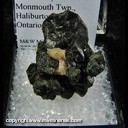 Minerals Specimen: Titanite, Augite from Bear Lake, Monmouth Twp., Haliburton Co., Ontario, Canada Minerals Specimen: Titanite, Augite from Bear Lake, Monmouth Twp., Haliburton Co., Ontario, Canada