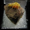 Minerals Specimen: Vanadinite, Mottramite from Finch Mine, Mammoth, Pinal Co., Arizona Minerals Specimen: Vanadinite, Mottramite from Finch Mine, Mammoth, Pinal Co., Arizona