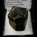 Mineral Specimen: Dravite Tourmaline from Yinnietharra, Upper Gascoyne Shire, Western Australia, Australia