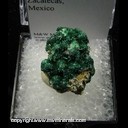 Minerals Specimen: Malachite from Zacatecas, Mexico Pre-1974 Minerals Specimen: Malachite from Zacatecas, Mexico Pre-1974