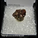 Minerals Specimen: Andradite Garnet from Garnet Hill, Calaveras Co., California Minerals Specimen: Andradite Garnet from Garnet Hill, Calaveras Co., California