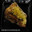 Minerals Specimen: Mimetite from Mun. de Aquiles, Serdan, Chihuahua, Mexico Minerals Specimen: Mimetite from Mun. de Aquiles, Serdan, Chihuahua, Mexico