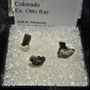Minerals Specimen: Enargite from Red Mountain, Eagle Co., Colorado Ex. Otto Ray Minerals Specimen: Enargite from Red Mountain, Eagle Co., Colorado Ex. Otto Ray