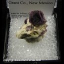 Minerals Specimen: Fluorite from Pine Canyon deposit, West Burro Mts., Grant Co., New Mexico Minerals Specimen: Fluorite from Pine Canyon deposit, West Burro Mts., Grant Co., New Mexico