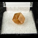 Minerals Specimen: Grossular Garent variety Hessonite from Jeffrey Quarry, Asbestos, Quebec, Canada Minerals Specimen: Grossular Garent variety Hessonite from Jeffrey Quarry, Asbestos, Quebec, Canada