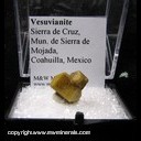 Minerals Specimen: Vesuvianite, Double Terminated from Sierra de la Cruz, Mun, de Sierra Mojada, Coahuila, Mexico Minerals Specimen: Vesuvianite, Double Terminated from Sierra de la Cruz, Mun, de Sierra Mojada, Coahuila, Mexico