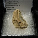 Minerals Specimen: Taranakite (Minervaite) from South Farallon Island, Farallon Islands, San Francisco Co., California Minerals Specimen: Taranakite (Minervaite) from South Farallon Island, Farallon Islands, San Francisco Co., California