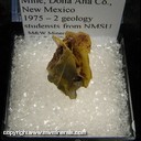 Mineral Specimen: Wulfenite from Stevenson-Bennet Mine, Dona Ana Co., New Mexico - Collected by 2 Geology students from NMSU, 1975 Mineral Specimen: Wulfenite from Stevenson-Bennet Mine, Dona Ana Co., New Mexico - Collected by 2 Geology students from NMSU, 1975