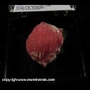 Minerals Specimen: Rhodochrosite from N�Chwaning II Mine, Kuruman, Kalahari Manganese Fields, North Cape Prov., South Africa Minerals Specimen: Rhodochrosite from N�Chwaning II Mine, Kuruman, Kalahari Manganese Fields, North Cape Prov., South Africa