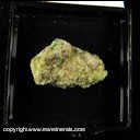 Mineral Specimen: Diopside variety: Chromium Diopside, Chromium Grossular Garnet from Jeffrey Quarry, Asbestos, Quebec, Canada