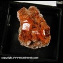 Mineral Specimen: Wulfenite, Mimetite from Red Cloud Mine, La Paz Co., Arizona Mineral Specimen: Wulfenite, Mimetite from Red Cloud Mine, La Paz Co., Arizona