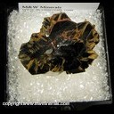 Minerals Specimen: Rutile epitaxial growth on Hematite from Novo Horizonte, Bahia, Brazil Minerals Specimen: Rutile epitaxial growth on Hematite from Novo Horizonte, Bahia, Brazil