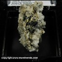 Minerals Specimen: Pyrite, Quartz, Rutile, Ankerite from Homestake Mine, Lead, Lawrence Co., South Dakota Minerals Specimen: Pyrite, Quartz, Rutile, Ankerite from Homestake Mine, Lead, Lawrence Co., South Dakota