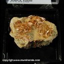 Minerals Specimen: Mimetite pseudomorph after Vanadinite from Elko Co., Nevada Collected by Steve Pullman Minerals Specimen: Mimetite pseudomorph after Vanadinite from Elko Co., Nevada Collected by Steve Pullman