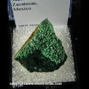Minerals Specimen: Malachite from Zacatecas, Mexico Minerals Specimen: Malachite from Zacatecas, Mexico