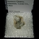 Minerals Specimen: Celestine from Stoneco Quarry, Maumee, Lucas Co., Ohio Minerals Specimen: Celestine from Stoneco Quarry, Maumee, Lucas Co., Ohio