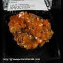 Minerals Specimen: Mimeite from Pingtouling Mine, Liannan Co., Qingyuan Prefecture, Guangdong Province, China Minerals Specimen: Mimeite from Pingtouling Mine, Liannan Co., Qingyuan Prefecture, Guangdong Province, China