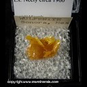 Minerals Specimen: Wulfenite from Sonora, Mexico Ex. Neely circa 1960 Minerals Specimen: Wulfenite from Sonora, Mexico Ex. Neely circa 1960