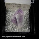 Minerals Specimen: Amethyst from Guanajuato, Mexico Ex. Neely circa 1960 (labeled as Zacatecas) Minerals Specimen: Amethyst from Guanajuato, Mexico Ex. Neely circa 1960 (labeled as Zacatecas)