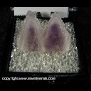 Minerals Specimen: Amethyst from Guanajuato, Mexico Ex. Neely circa 1960 (labeled as Zacatecas) Minerals Specimen: Amethyst from Guanajuato, Mexico Ex. Neely circa 1960 (labeled as Zacatecas)