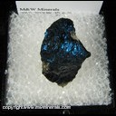 Minerals Specimen: Covellite from Butte, Silver Bow Co., Montana Ex. Neely circa 1960 Minerals Specimen: Covellite from Butte, Silver Bow Co., Montana Ex. Neely circa 1960