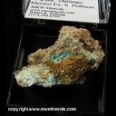 Minerals Specimen: Schulenbergite, Serpierite from Platosa Mine, Bermejillo, Mun. de Mapim�, Durango, Mexico Ex. S. Pullman Minerals Specimen: Schulenbergite, Serpierite from Platosa Mine, Bermejillo, Mun. de Mapim�, Durango, Mexico Ex. S. Pullman