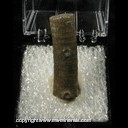 Mineral Specimen: Crinoid Stems from Indiana Ex. A. Neely, 1960s Mineral Specimen: Crinoid Stems from Indiana Ex. A. Neely, 1960s