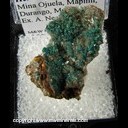 Minerals Specimen: Rosasite, Hemimorphite from Mina Ojuela, Mapimi, Durango, Mexico Ex. Neely 1960s Minerals Specimen: Rosasite, Hemimorphite from Mina Ojuela, Mapimi, Durango, Mexico Ex. Neely 1960s