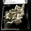 Minerals Specimen: Cerussite variety Jackstraw from Flux Mine, Panatagonia, Santa Cruz Co., Arizona Minerals Specimen: Cerussite variety Jackstraw from Flux Mine, Panatagonia, Santa Cruz Co., Arizona