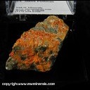 Minerals Specimen: Minium on Galena from location unknown, Tony James, 7/12/07, Ex. Steve Pullman Minerals Specimen: Minium on Galena from location unknown, Tony James, 7/12/07, Ex. Steve Pullman