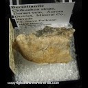 Minerals Specimen: Berzelianite from Chihuahua stope, Durant vein, Aurora District, Mineral Co., Nevada Ex. Steve Pullman Minerals Specimen: Berzelianite from Chihuahua stope, Durant vein, Aurora District, Mineral Co., Nevada Ex. Steve Pullman