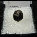Mineral Specimen: Almandine Garnet from Laniel, Quebec, Canada Collected by D. Hiller Mineral Specimen: Almandine Garnet from Laniel, Quebec, Canada Collected by D. Hiller