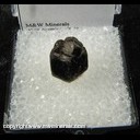 Mineral Specimen: Almandine Garnet from Laniel, Quebec, Canada Collected by D. Hiller