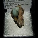 Minerals Specimen: Hemimorphite (2 habits & colors) from 79 Mine, Hayden, Gila Co., Arizona Ex. Les Wilson Minerals Specimen: Hemimorphite (2 habits & colors) from 79 Mine, Hayden, Gila Co., Arizona Ex. Les Wilson