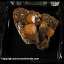 Mineral Specimen: Wulfenite, Descloizite from Erupcion Mine, Los Lamentos, Ahumada, Chihuhua, Mexico Mineral Specimen: Wulfenite, Descloizite from Erupcion Mine, Los Lamentos, Ahumada, Chihuhua, Mexico