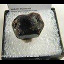 Mineral Specimen: Almandine Garnet from Laniel, Quebec, Canada Collected by D. Hiller Mineral Specimen: Almandine Garnet from Laniel, Quebec, Canada Collected by D. Hiller