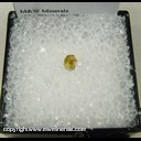 Minerals Specimen: Yellow Diamond Crystals - .25 ct from Congo Ex. Vivian Randall - weight from her notes, purchased 1983 Minerals Specimen: Yellow Diamond Crystals - .25 ct from Congo Ex. Vivian Randall - weight from her notes, purchased 1983