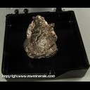 Minerals Specimen: Silver from Mass Mine, Mass, Ontonagon Co., Michigan Minerals Specimen: Silver from Mass Mine, Mass, Ontonagon Co., Michigan