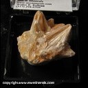 Minerals Specimen: Pyrophyllite from North Carolina Ex. A. Neely 1960s Minerals Specimen: Pyrophyllite from North Carolina Ex. A. Neely 1960s