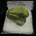 Minerals Specimen: Enstatite, Chrysocolla from Bluestone Mine, Lyon Co., Nevada Minerals Specimen: Enstatite, Chrysocolla from Bluestone Mine, Lyon Co., Nevada