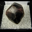 Minerals Specimen: Almandine Garnet from Aqua Quente, Bahia, Brazil Ex. Vivian Randall Minerals Specimen: Almandine Garnet from Aqua Quente, Bahia, Brazil Ex. Vivian Randall