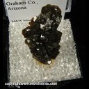 Minerals Specimen: Andradite Garmet Ex. Vivian Randall from Stanley Butte, Graham Co., Arizona Minerals Specimen: Andradite Garmet Ex. Vivian Randall from Stanley Butte, Graham Co., Arizona