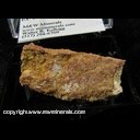 Mineral Specimen: Coderoite, Cinnabar from McDermott Mine, Opalite Dist., Humboldt Co., Nevada Ex. Steve Pullman