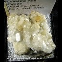Mineral Specimen: Celestine, Calcite from Wood Co., Ohio Ex. A. Neely 1960s Mineral Specimen: Celestine, Calcite from Wood Co., Ohio Ex. A. Neely 1960s