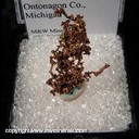 Mineral Specimen: Copper Crystals from White Pine Mine, White Pine, Ontonagon County, Michigan Mineral Specimen: Copper Crystals from White Pine Mine, White Pine, Ontonagon County, Michigan
