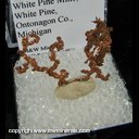 Mineral Specimen: Copper Crystals from White Pine Mine, White Pine, Ontonagon County, Michigan Mineral Specimen: Copper Crystals from White Pine Mine, White Pine, Ontonagon County, Michigan