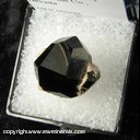 Mineral Specimen: Almandine Garnet from Garnet Hill, Ely, Robinson District, White Pine Co., Nevada Mineral Specimen: Almandine Garnet from Garnet Hill, Ely, Robinson District, White Pine Co., Nevada
