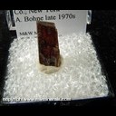 Mineral Specimen: Almandine Garnet from Gore Mountain, North River, Warren Co., New York A. Bohne late 1970s Mineral Specimen: Almandine Garnet from Gore Mountain, North River, Warren Co., New York A. Bohne late 1970s